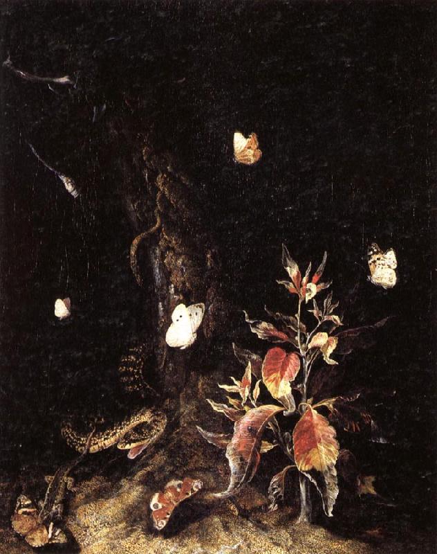 SCHRIECK, Otto Marseus van Reptiles,Butterflies,and Plants at the Base of a Tree